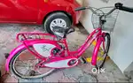 Lady Bird cycle,4 years old,hazel model, pink colour