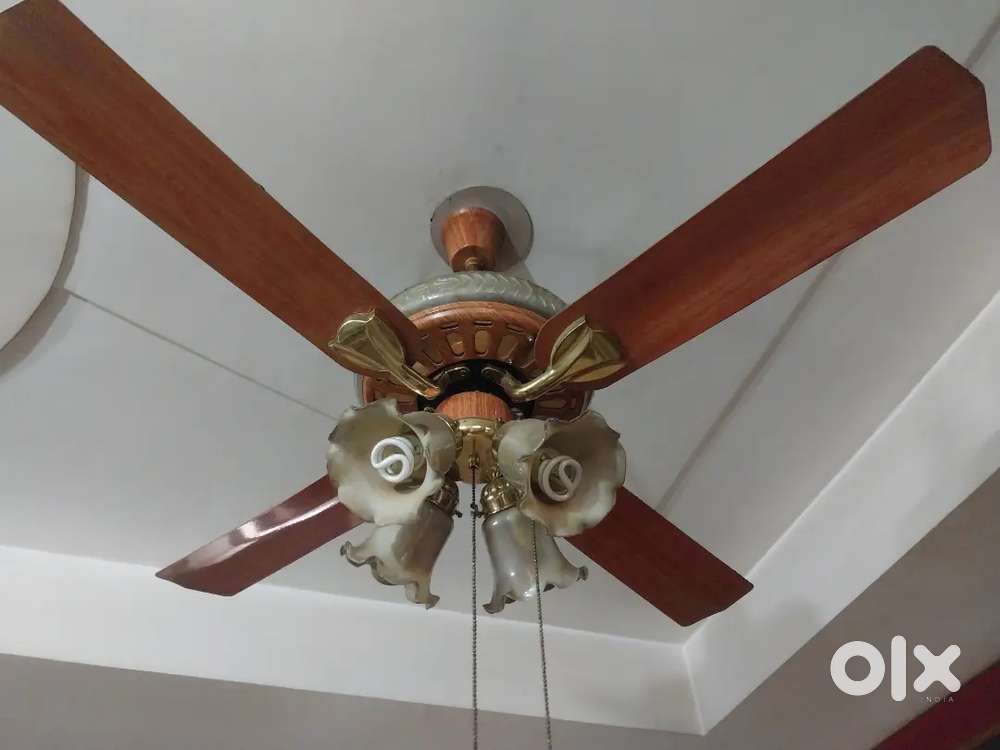 Ceiling fans