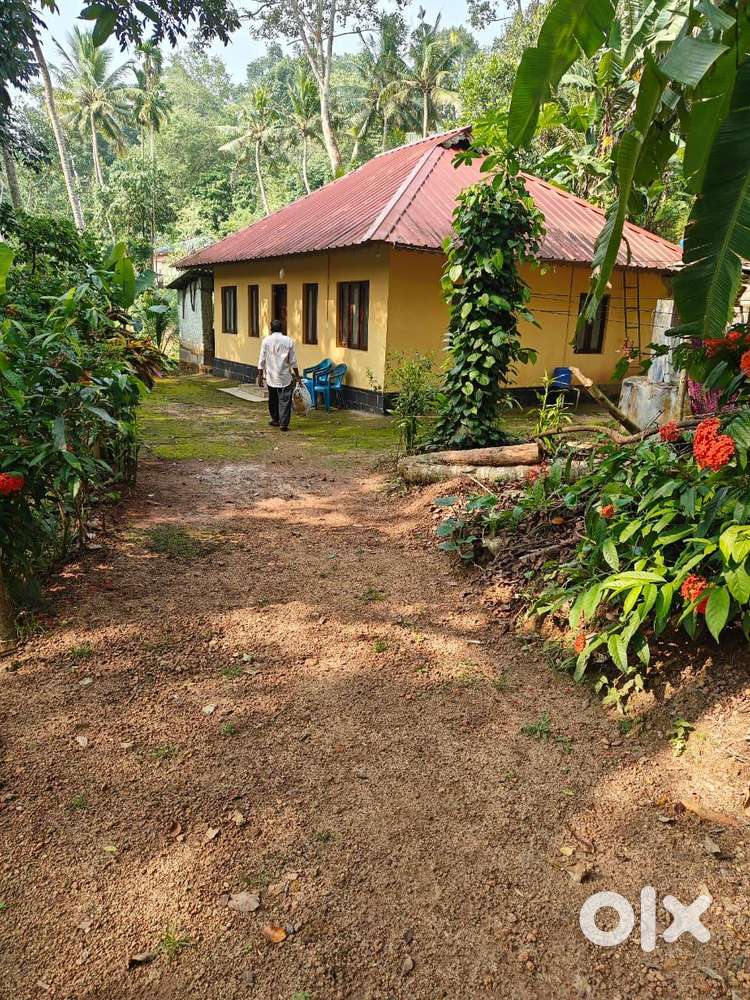 15.5 CENT RESIDENTIAL PLOT FOR SALE AT CHEKKAKONAM KARAKULAM