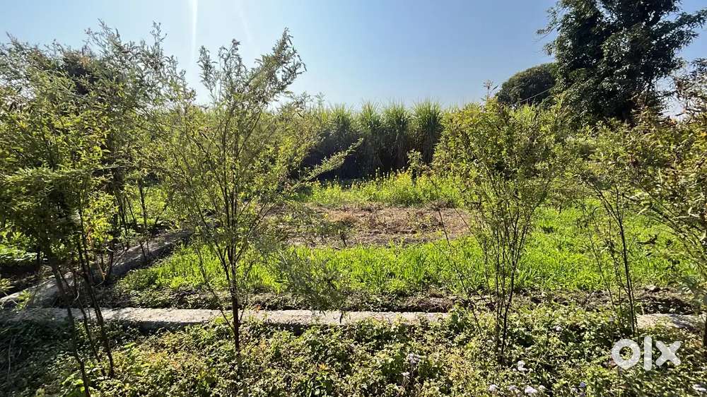 Plot for sale at bhaniyawala dehradun near mount zee litera school