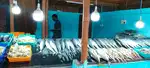 Fish Cutting Person Needed – Full Time ( room available)