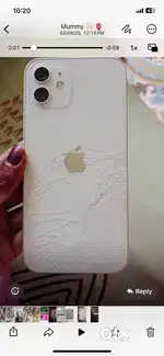 12 back class crack
