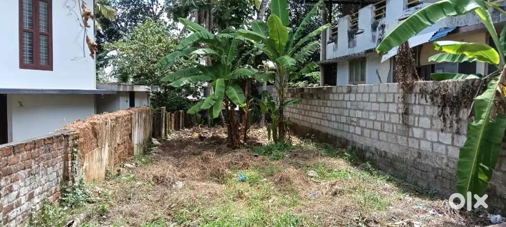 8 cent compound plot for sale in mahavishnu nagar pappanamcode