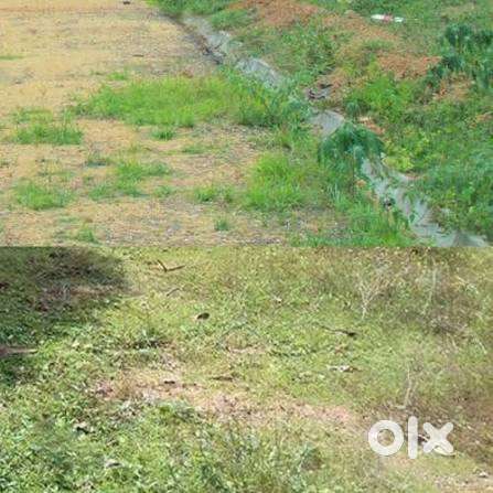 Ansal plaza golf link 2