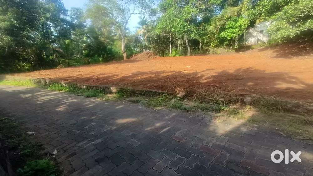 തവളകുഴിൽ 11സെന്റ്