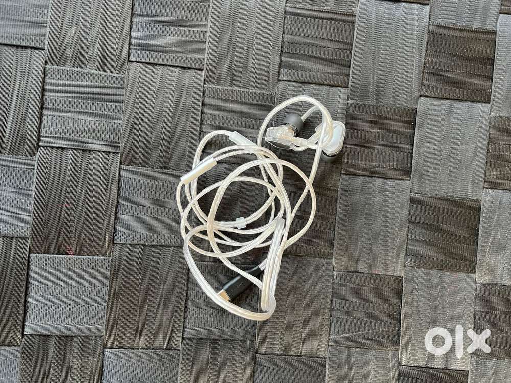 Tanchjim bunny dsp mic iem bought on 22/09/25
