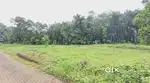 പാലാ തൊടുപുഴ ബസ് റൂട്ടിൽ 10സെന്റ് മുതൽ മനോഹരമായ ഹൗസ് പ്ലോട്ടുകൾ.