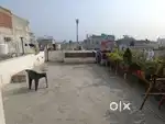 One BHK room rent for family