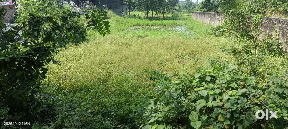 Plot sell karna hai Arjen