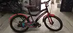 Cycle sandar he bil kul shai condition he