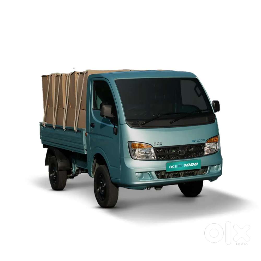 Tata ace driver