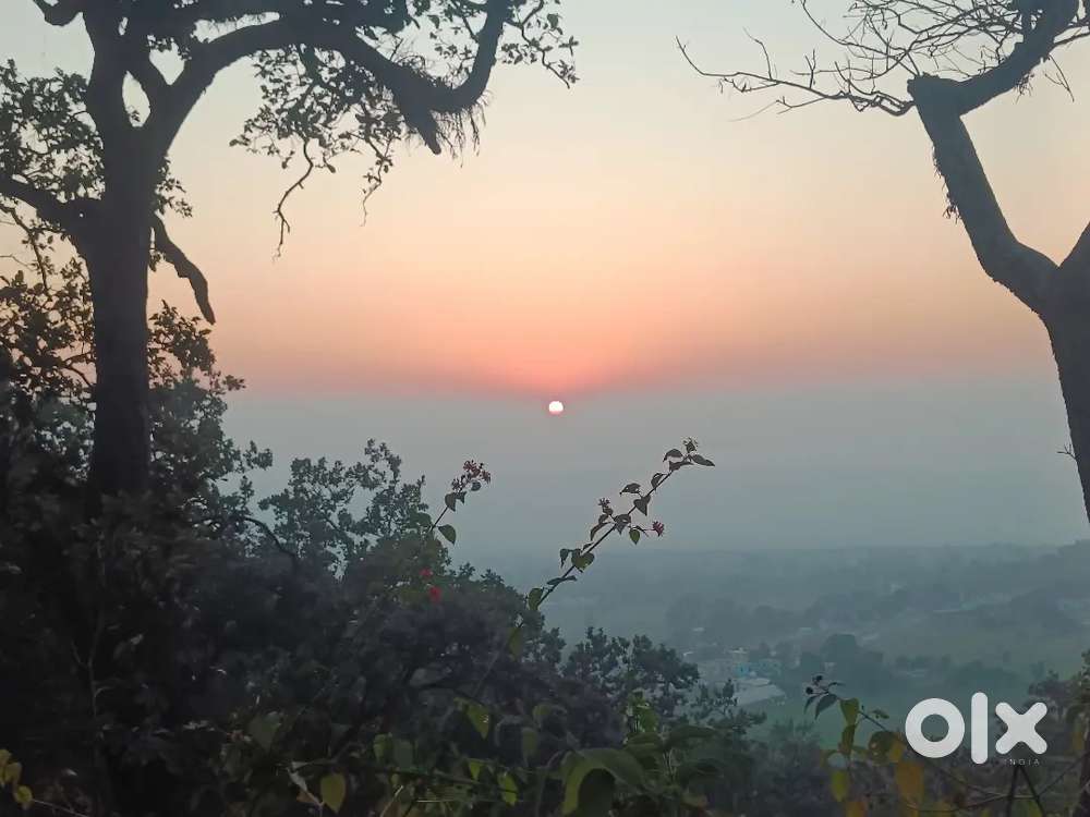 Land for in patli Ramnagar