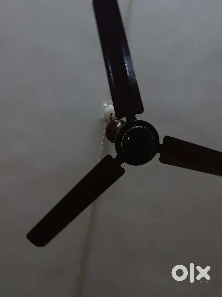 Flipkart brand fan