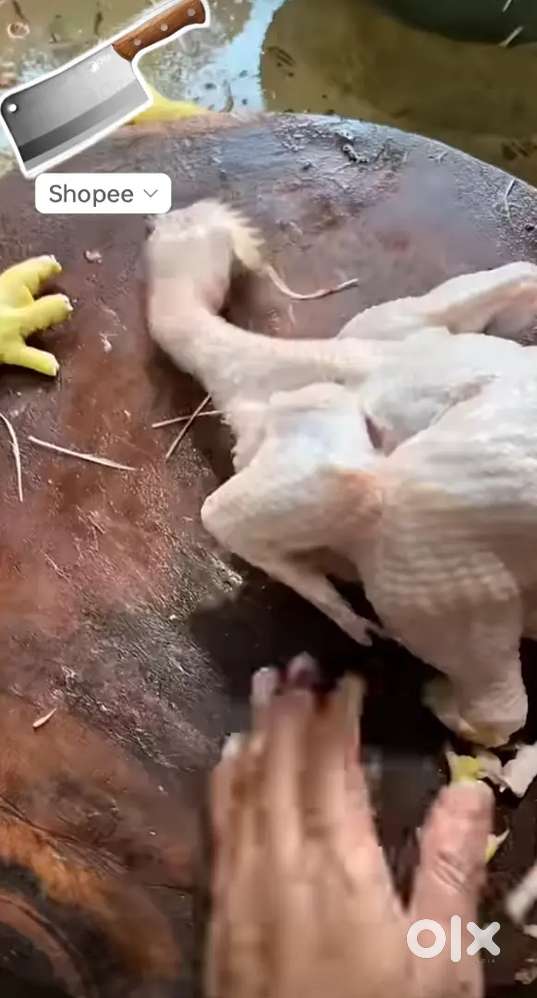 Monthly salary Chicken &fish chopper