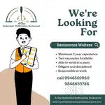 Salary will be hyped based on your performance.