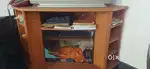 Corner TV Stand