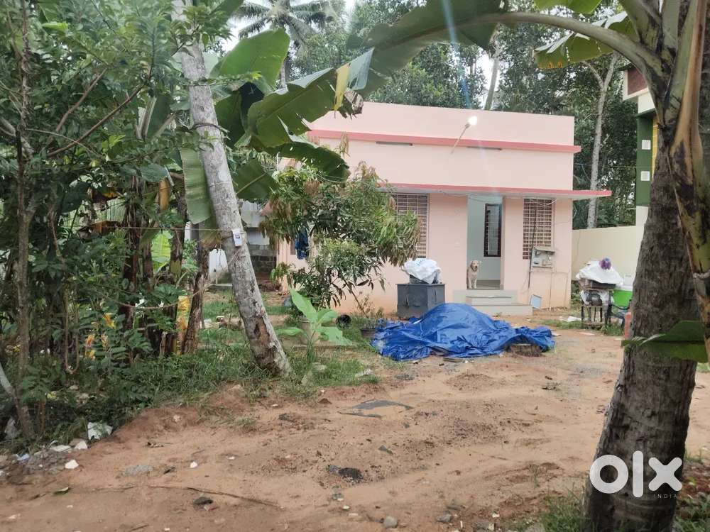 House for Rent Advance 35000 Rent 11000