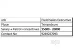 Sales Executive
