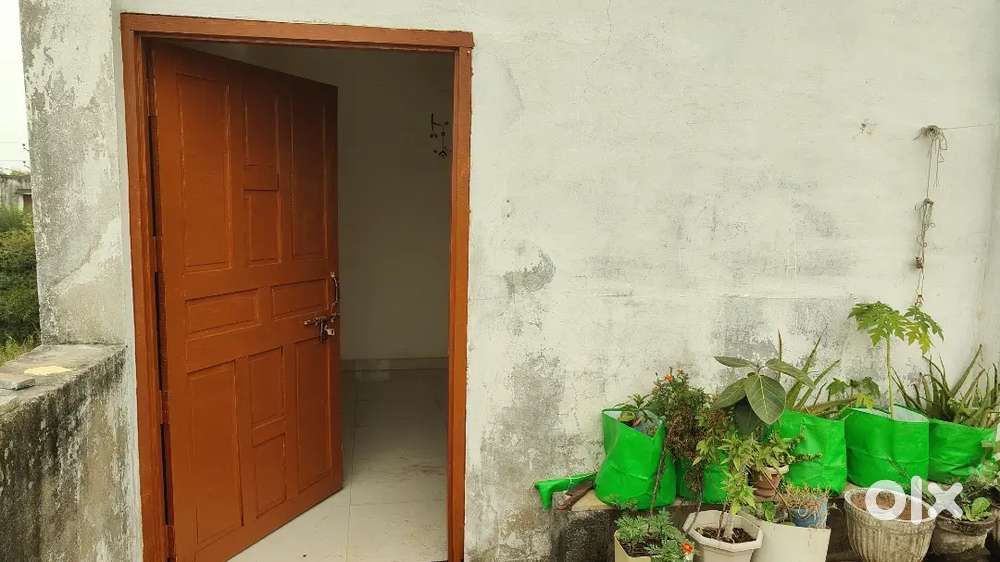 1 Bed  Room , 1st floor, Big Hall and Kitchen with dining.