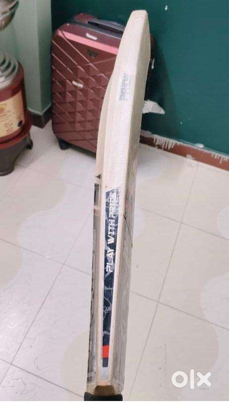 Premium English Willow bat