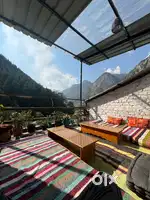 Cook required in Kasol