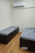 COMFORT ZONE PREMIUM PG