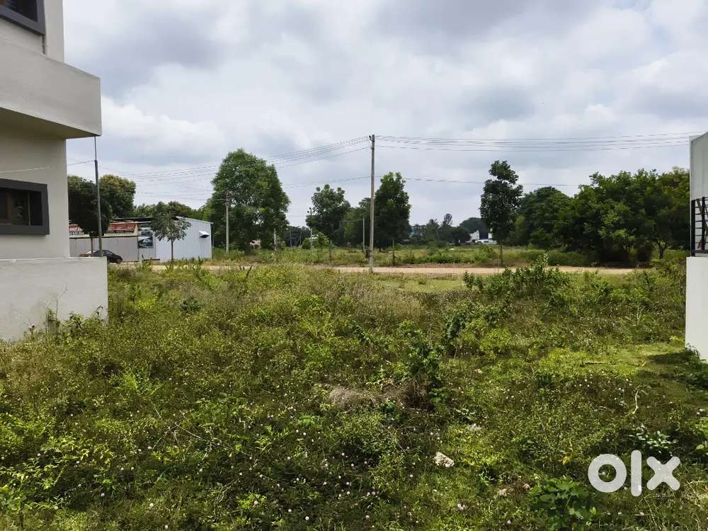 Muda Register site for sale