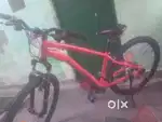 Mountain bike