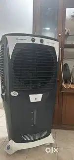 Crompton Ozone Royal 75