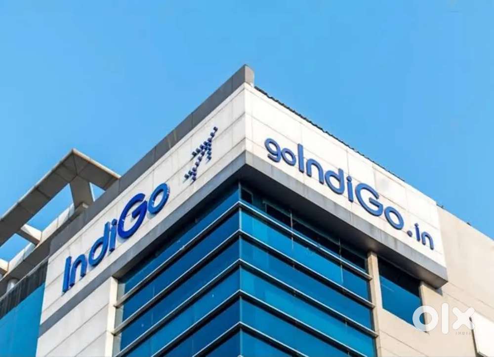 Ground Staff jobs in indigo Airlines urgent hiring Apply Fast