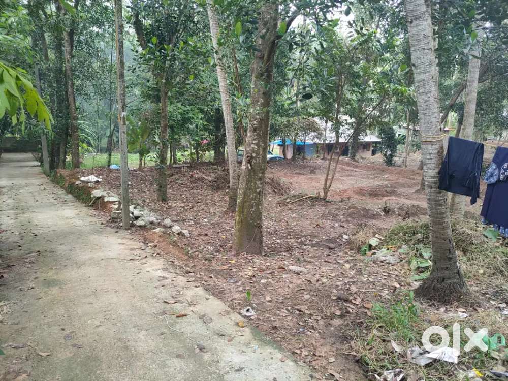 70 Cent plot for sale