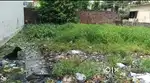 Plot for sale Phulwari sharif