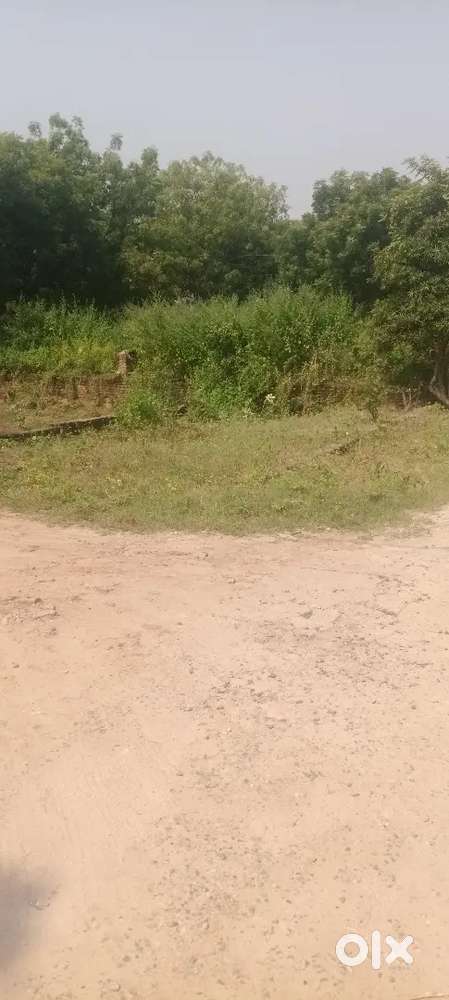 50 gaj plot girdharpur road ghaziabad Delhi utter pradesh