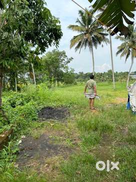 47 cent plot for sale in irimpanam, 500 mtr from seaport airport road