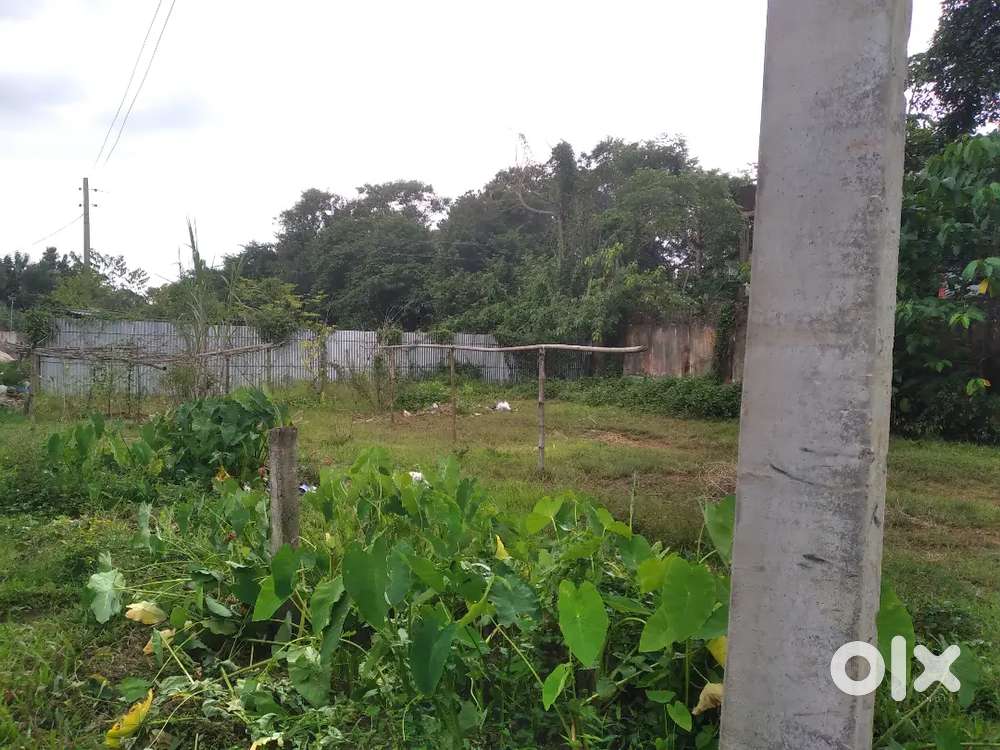 3গন্ডা জায়গা বিক্রি করা হবে।নবগ্রাম হাই স্কুলের পিছনে.. রাস্তা 12 ফুট