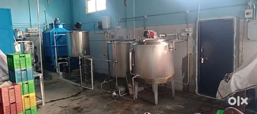 Curd plant