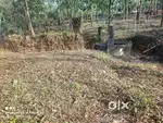 Land for sale near poovam town taliparamba