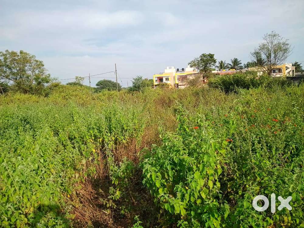 plot 40 x 80  3200 square feet  near Navanagar  200 mts from PB road