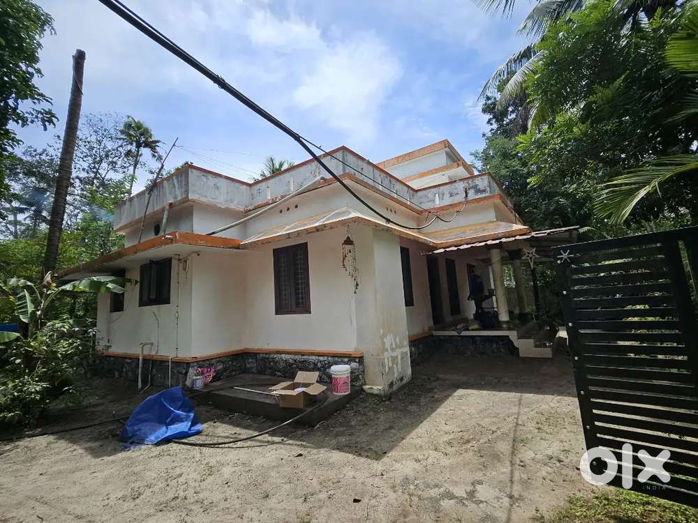 25 cent plot 1200p sq feet  house  Near Sn collge Cherthala alappuzha