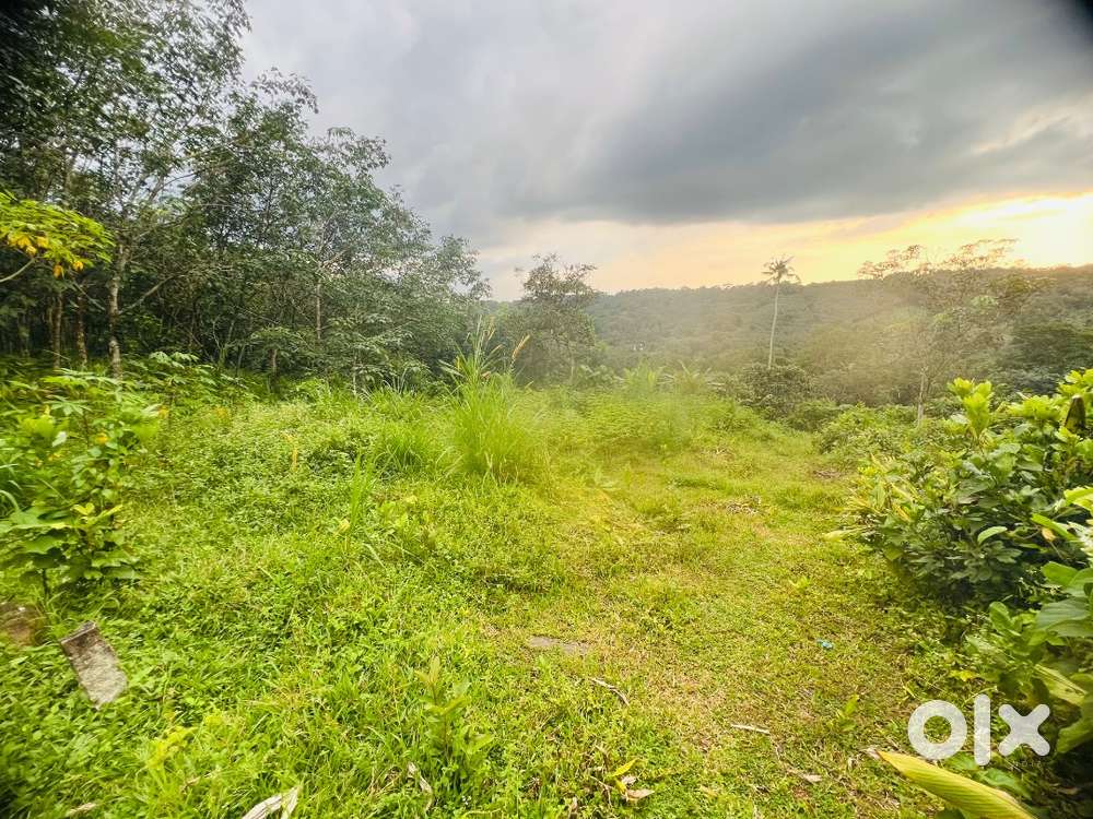 40 cents land for sale