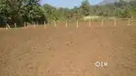 Plot farm house land near imt rohtak Delhi road rohtak