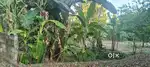 5 CENT PRIME RESIDENTIAL PLOT FOR SALE NEAR ULLOOR AKKULAM ROAD