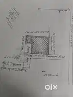 Pure Basaudi jameen . Total 858sq.