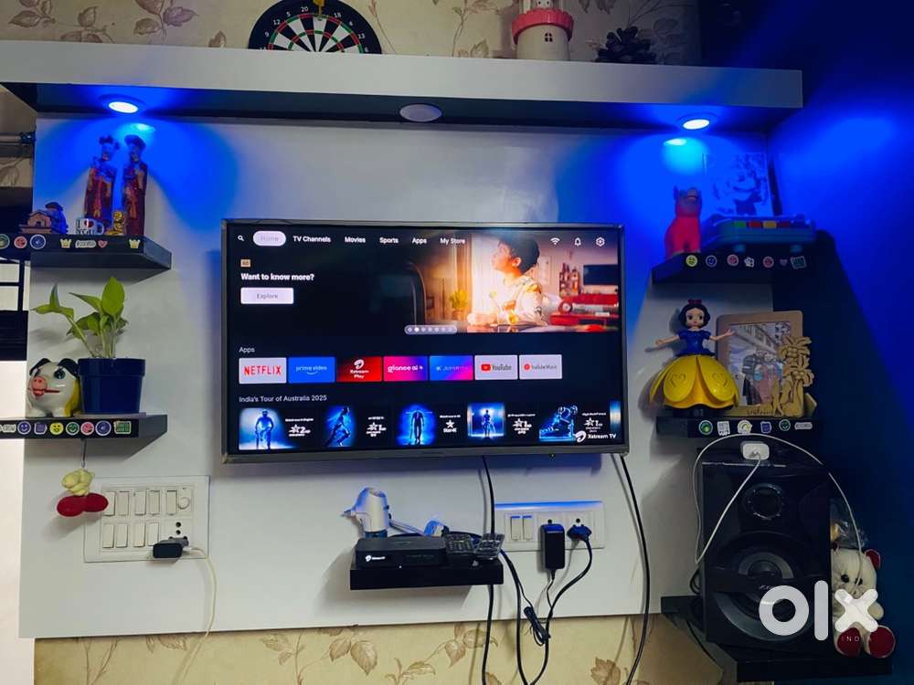 Tv with tv panal