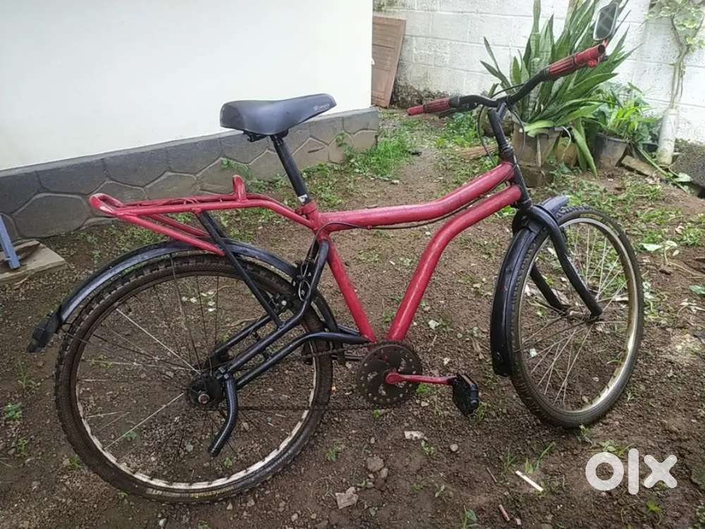 Cycle and Air Pump- Hercules