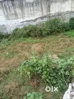 Ekta vihar ke pas