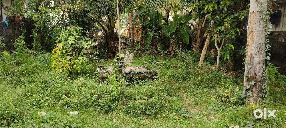 4 CENTS PRIME RESIDENTIAL PLOT FOR SALE NEAR ULLOOR