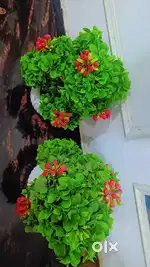 Artificial plants