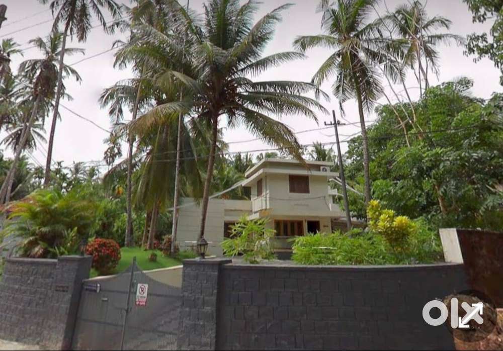 20 Cent Land And House For Sale At Chala, Kannur (Ml)