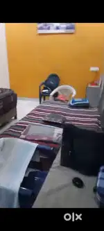 Need a girl Roommate